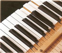 Control piano humidity to prevent damage to piano keys, soundboard, tuning pins, pinblock, loose action screws, delaminate pinblock and bridge.